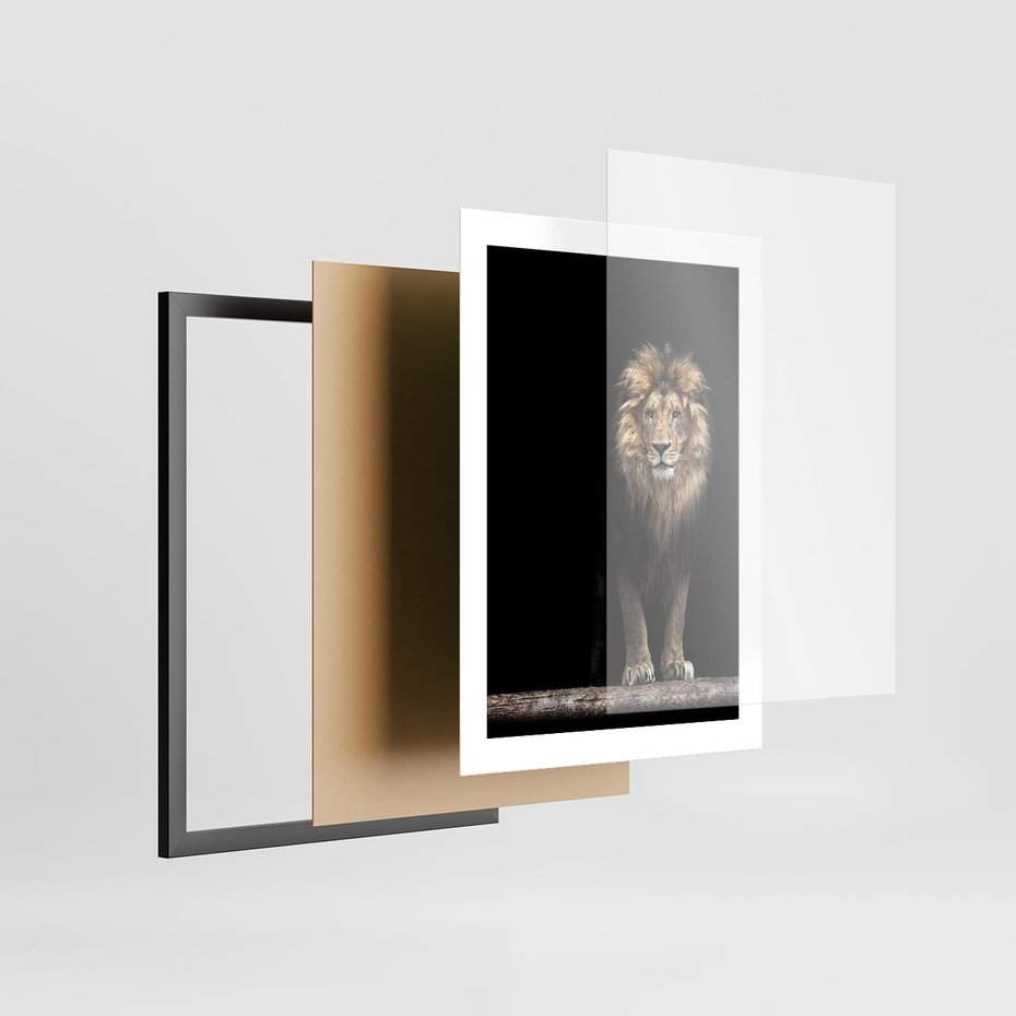 Plakat w ramie 30x40 - Lew: dzikie piękno natury - lew, dzikie - rama czarna