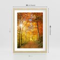 Plakat w ramie 30x40 - Złote barwy jesiennego lasu - las, jesień - rama drewno