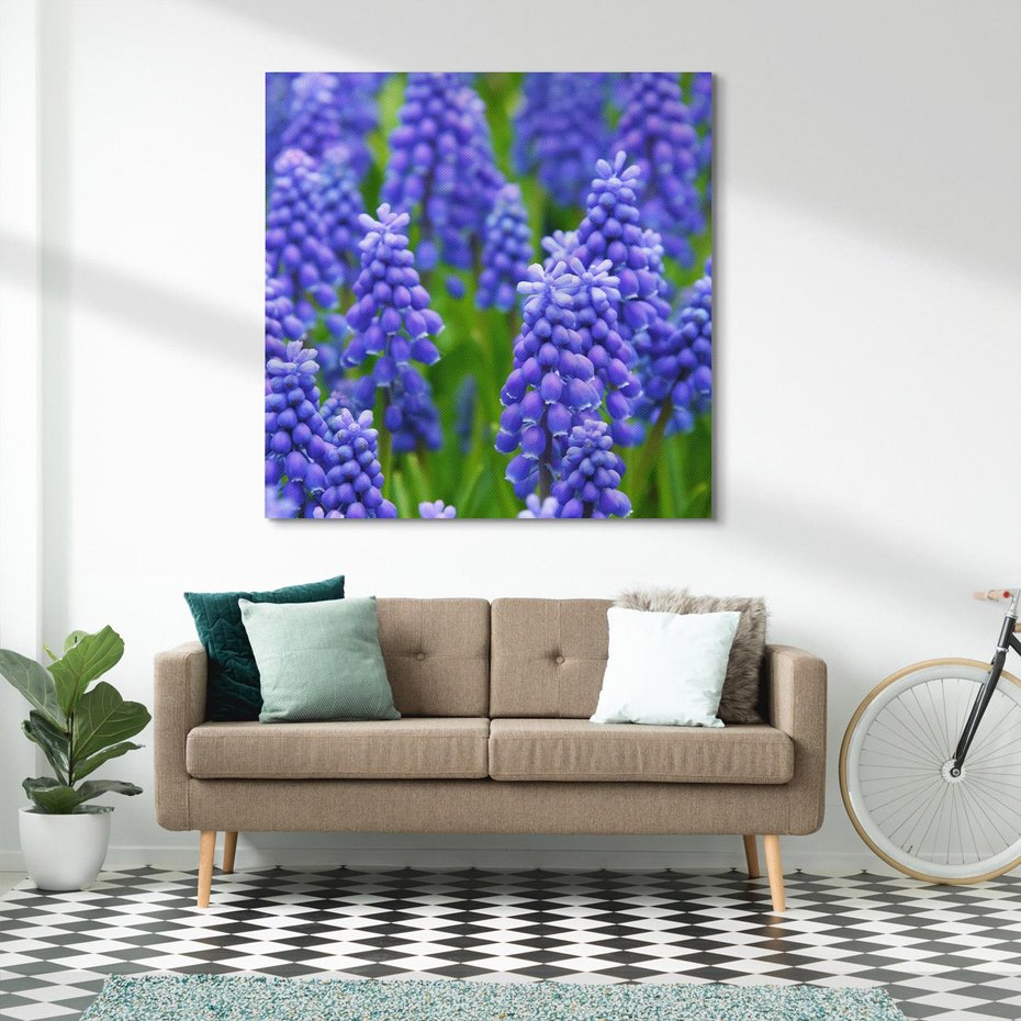 Obraz na płótnie 60x60 - Urok Lawendy - lawenda, kwiat