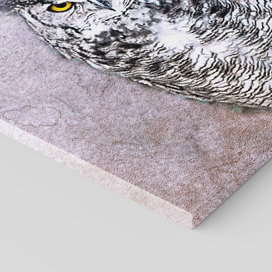 Obraz na płótnie 40x40 - Sztuka abstrakcyjna: Pies - sowa, sztuka