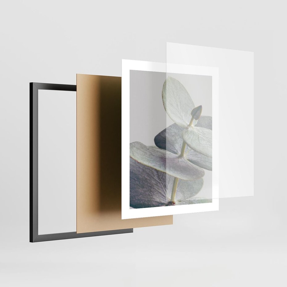 Plakat w ramie 40x50 - Zbliżenie Liści Eukaliptusa - eukaliptus, zbliżenie - rama czarna