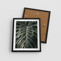 Plakat w ramie 40x50 - Majestatyczny Liść Monstery - liść monstery, majestatyczny liść - rama czarna