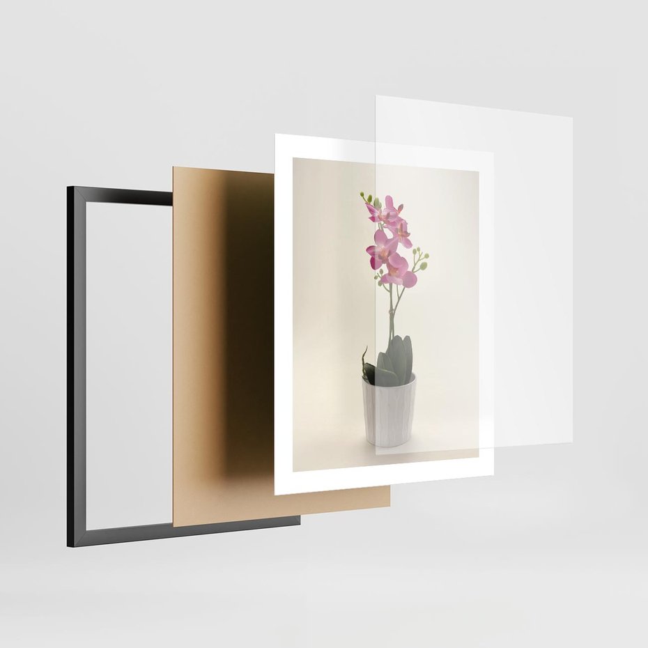 Plakat w ramie 40x50 - Delikatność storczyka orchidei - storczyk, orchidea - rama czarna