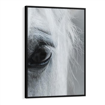 Obraz w ramie 50x70 - Oko Mocy - czarno białe zdjęcie, zbliżenie makro na oko konia - rama czarna