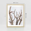 Plakat w ramie 30x40 - Pustynna Harmonia Gałęzi - pustynna roślina, suche gałęzie - rama drewno