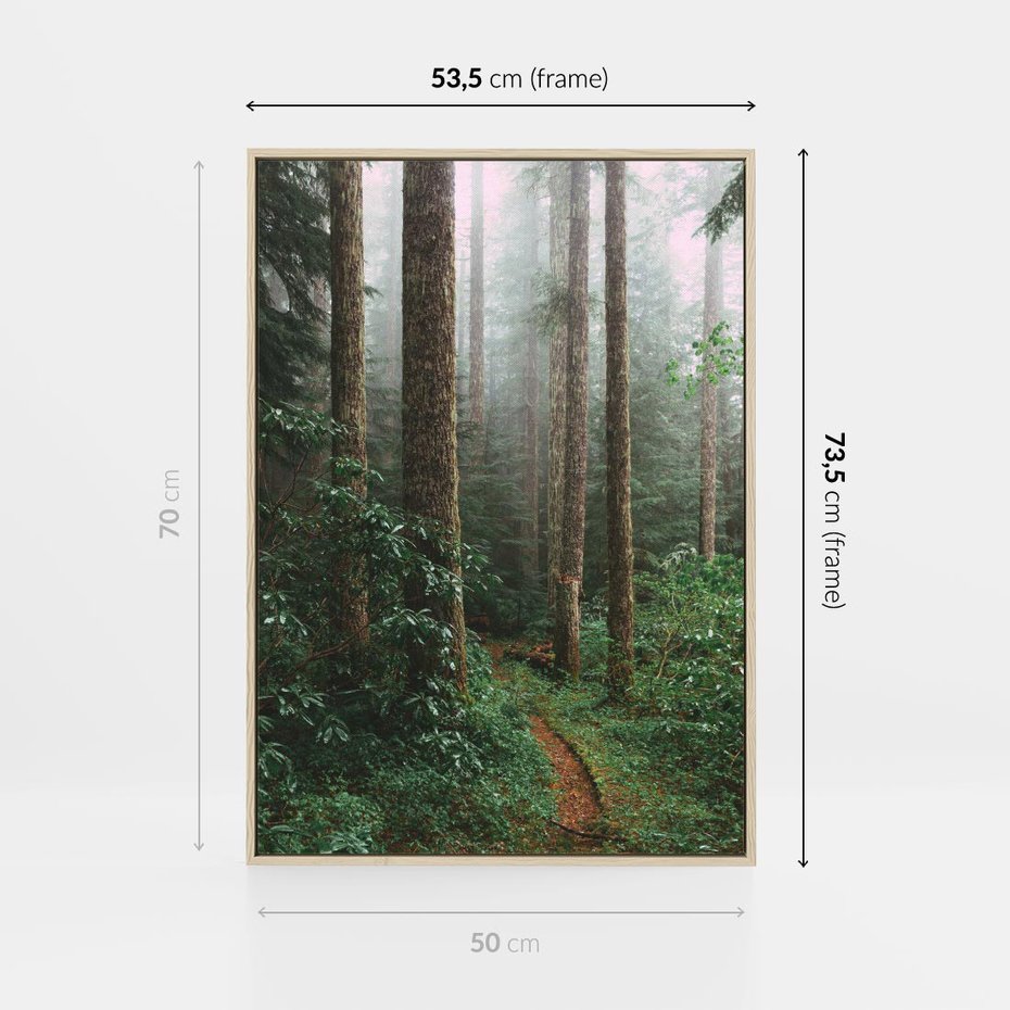 Obraz w ramie 50x70 - Mgliste Marzenia - artystyczna fotografia, las - rama drewno