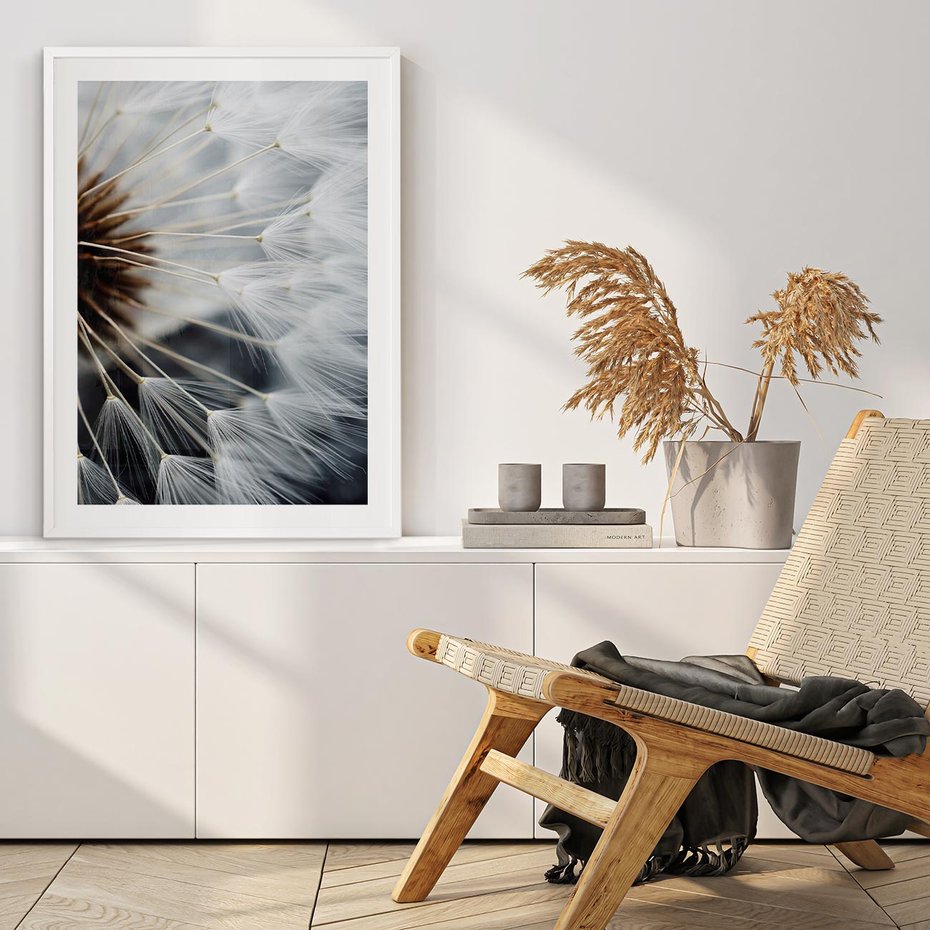 Plakat bez ramy 30x40 - Dmuchawce w Naturze - dmuchawiec, zbliżenie