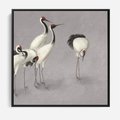 Obraz w ramie 50x50 - Spojrzenie wstecz w pędzlu - szkic rysunek, japońskie żurawie - rama czarna