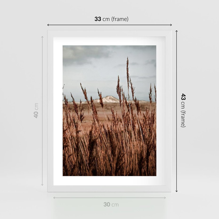 Plakat w ramie 30x40 - Wysokie Trawy w Górskim Krajobrazie - suche trawy, wysokie trawy - rama biała