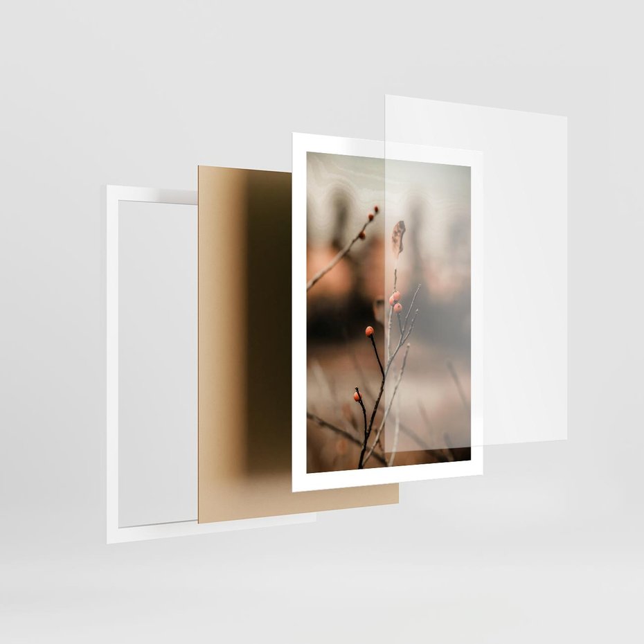 Plakat w ramie 50x70 - Jarzębina w Pejzażu - jesień, gałązka - rama biała