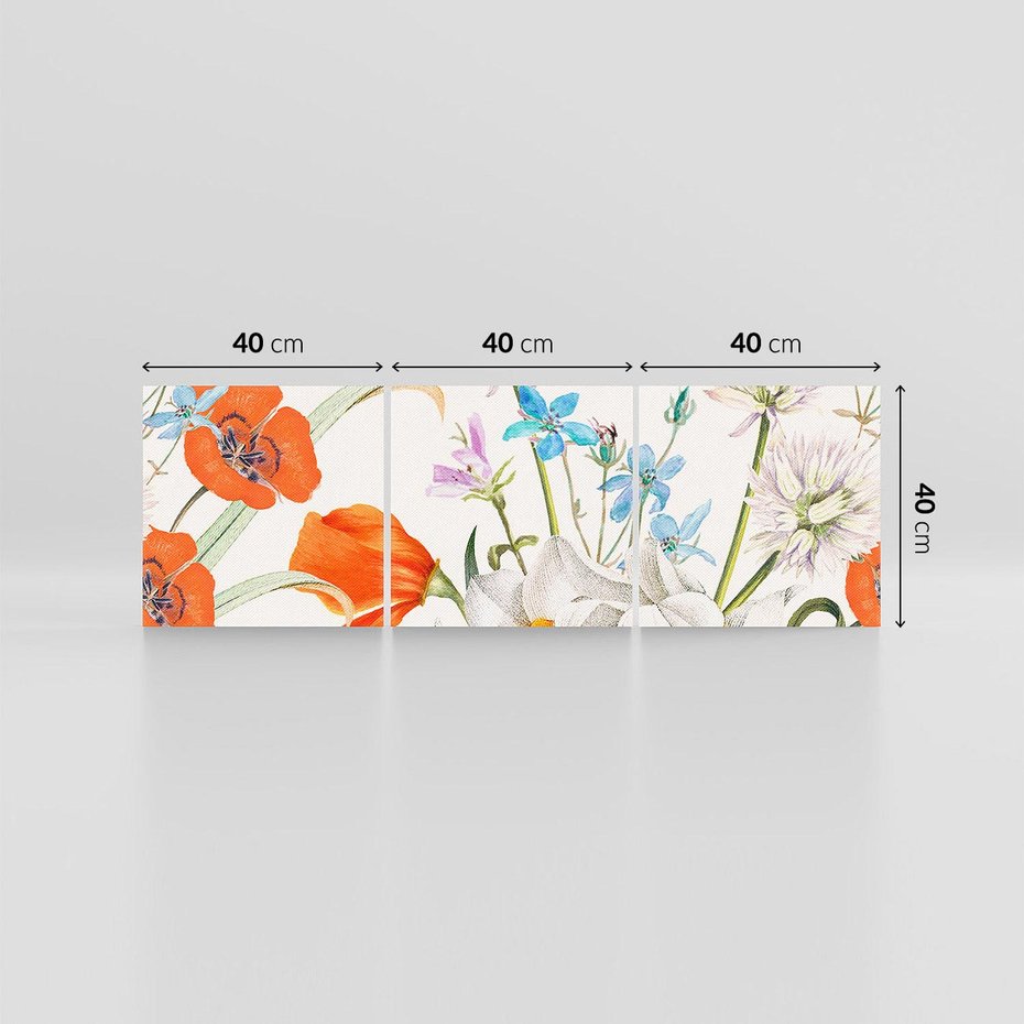 Obraz na płótnie 120x40 - Polne Kwiaty - polne kwiaty, na białym tle