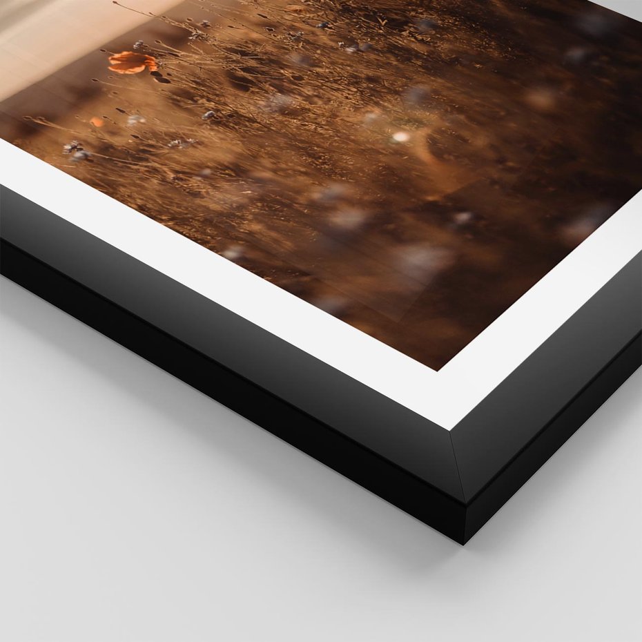 Plakat w ramie 30x40 - Zachwyt zachodem słońca na łące - zachód, słońca - rama czarna