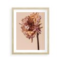 Plakat w ramie 40x50 - Delikatne piękno - suche, kwiaty - rama drewno