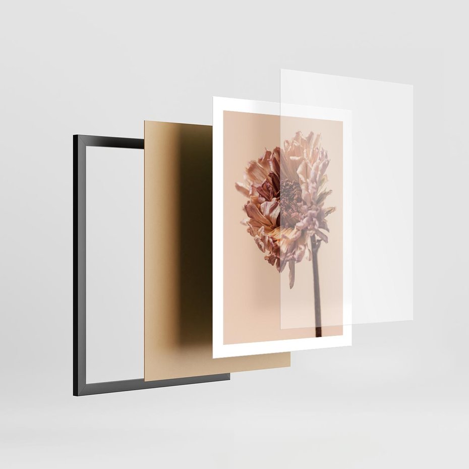 Plakat w ramie 50x70 - Delikatne piękno - suche, kwiaty - rama czarna
