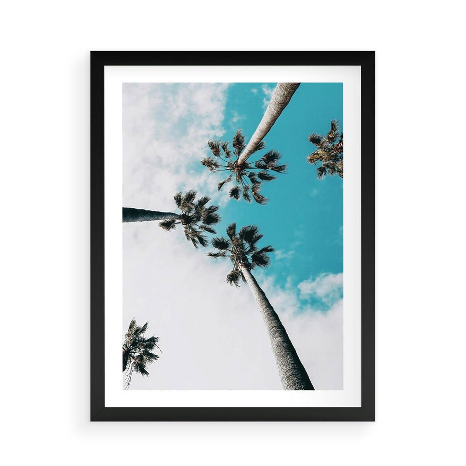 Plakat w ramie 50x70 - Palmy w Gorącym Niebie - palmy, ujęcie z dołu - rama czarna