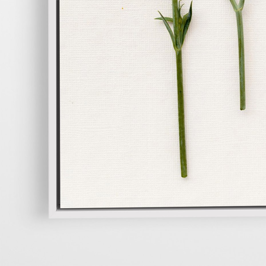 Obraz w ramie 70x100 - Białe kwiatowe uniesienia - białe, kwiaty - rama biała