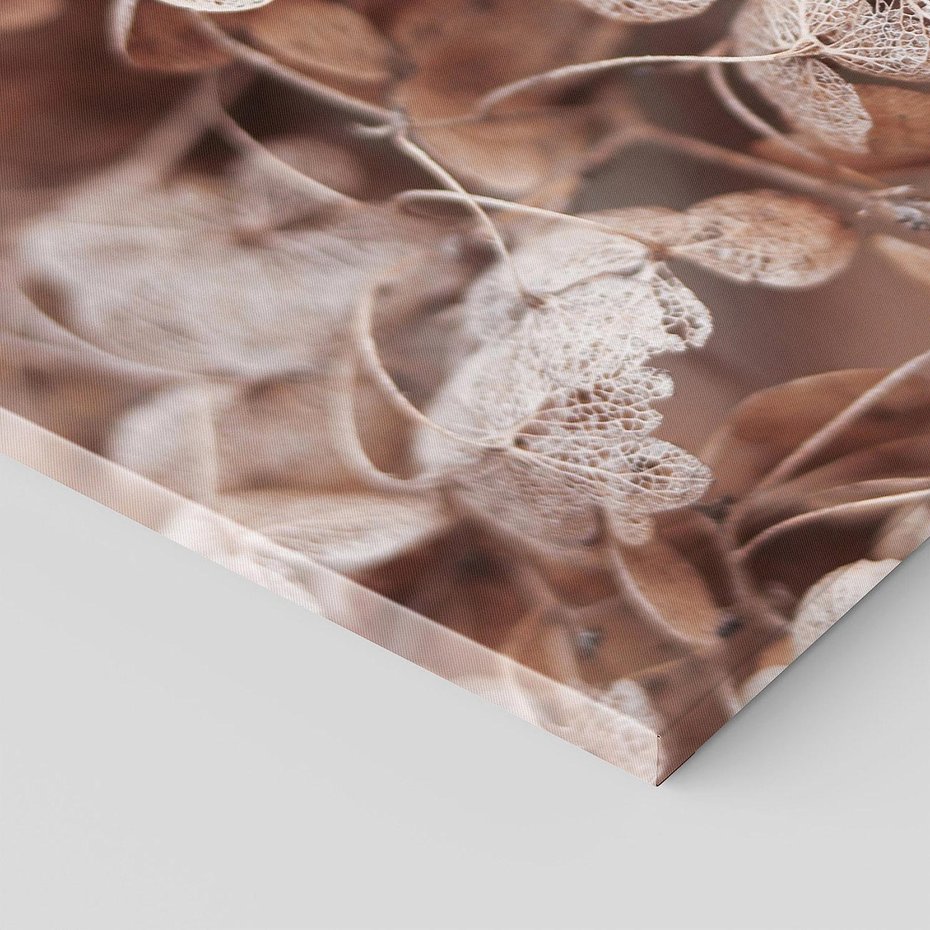 Obraz na płótnie 100x50 - Przemijająca Piękność - fotografia, zbliżenie