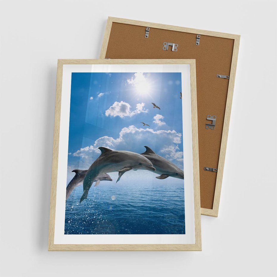 Plakat w ramie 50x70 - Spotkanie z naturą - morze, delfiny - rama drewno
