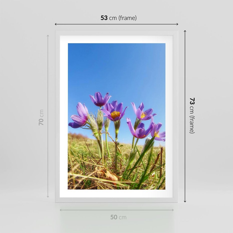 Plakat w ramie 50x70 - Kwiatowa siła łąki - kwiaty, łąka - rama biała
