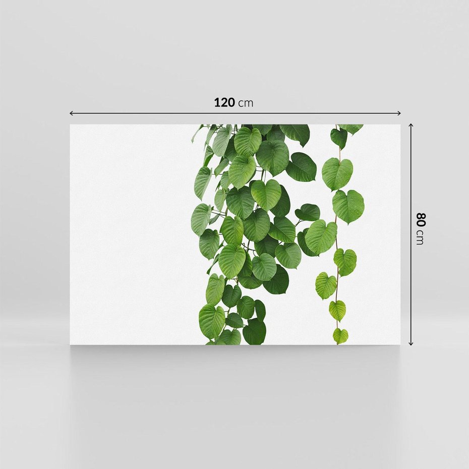 Obraz na płótnie 120x80 - Świeżość Natury - liście, zielone