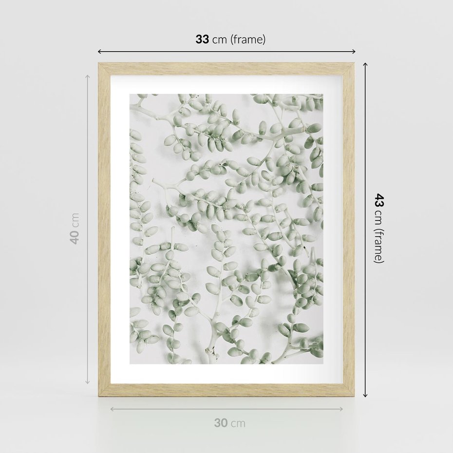 Plakat w ramie 30x40 - Delikatność Zieleni - zielone gałązki, listki - rama drewno