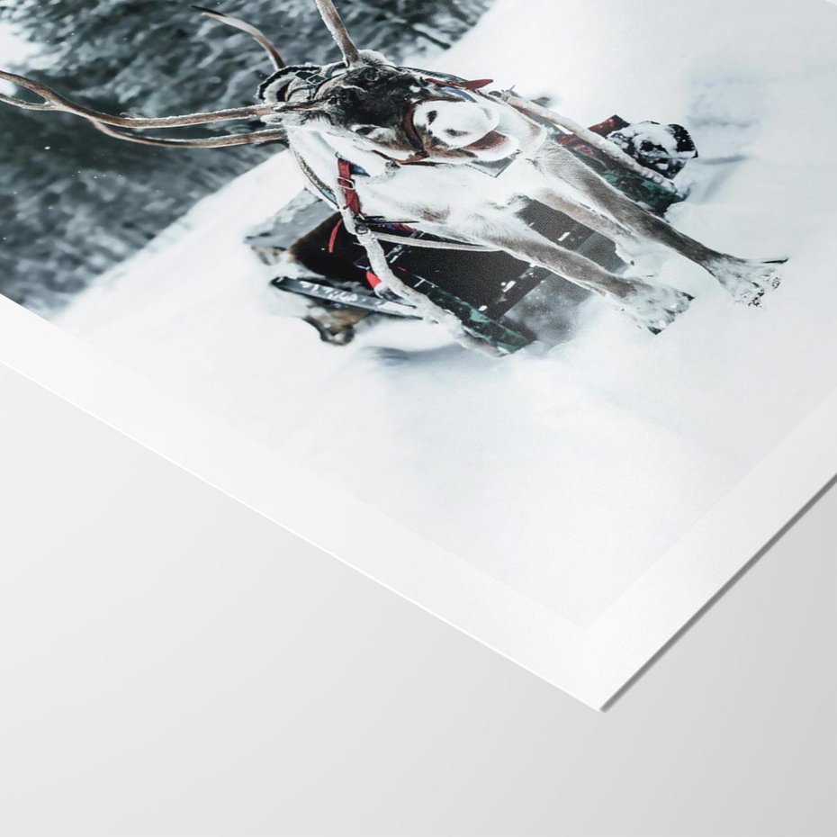 Plakat bez ramy 30x40 - Świąteczna Przygoda - renifer, śnieg