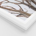 Plakat w ramie 30x40 - Pustynna Harmonia Gałęzi - pustynna roślina, suche gałęzie - rama biała