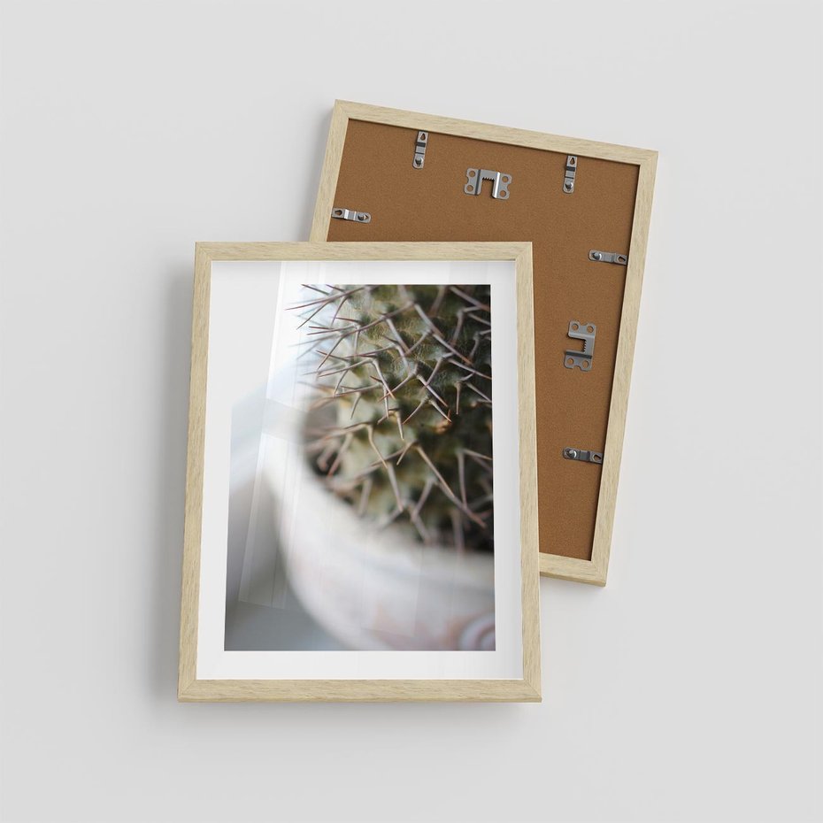 Plakat w ramie 30x40 - Kaktus w Zbliżeniu - kaktus, igły - rama drewno