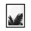 Plakat w ramie 40x50 - Tropikalna Uroda w Czerni i Bieli - fotografia czarno biała, liście palmy - rama czarna