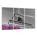Obraz na płótnie 120x80 - Urok Eiffla w Paryżu - Eiffla, Paryż