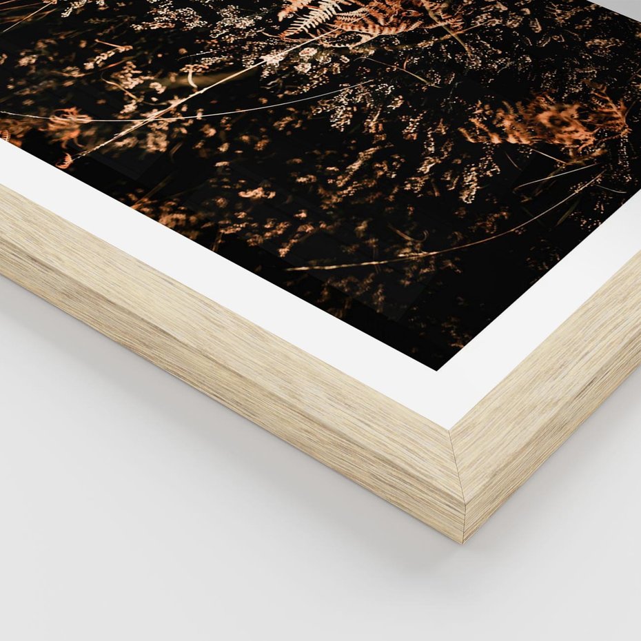 Plakat w ramie 30x40 - Jesienna Melodia - suche trawy, paprocie - rama drewno