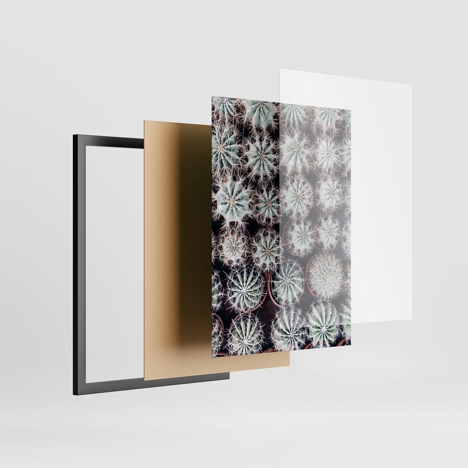 Zestaw obrazy w ramie 50x70 galeria - Kaktusy, liście, boho - rama czarna