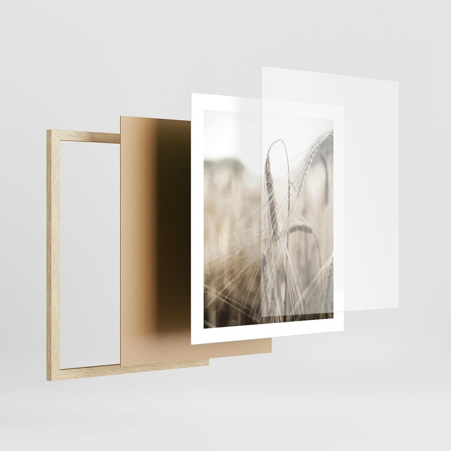Plakat w ramie 40x50 - Kłosy Pszenicy w Sepii - zboże, kłos pszenicy - rama drewno