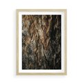 Plakat w ramie 50x70 - Tekstura Drewna: Zbliżenie - zbliżenie na pień drzewa, tekstura - rama drewno