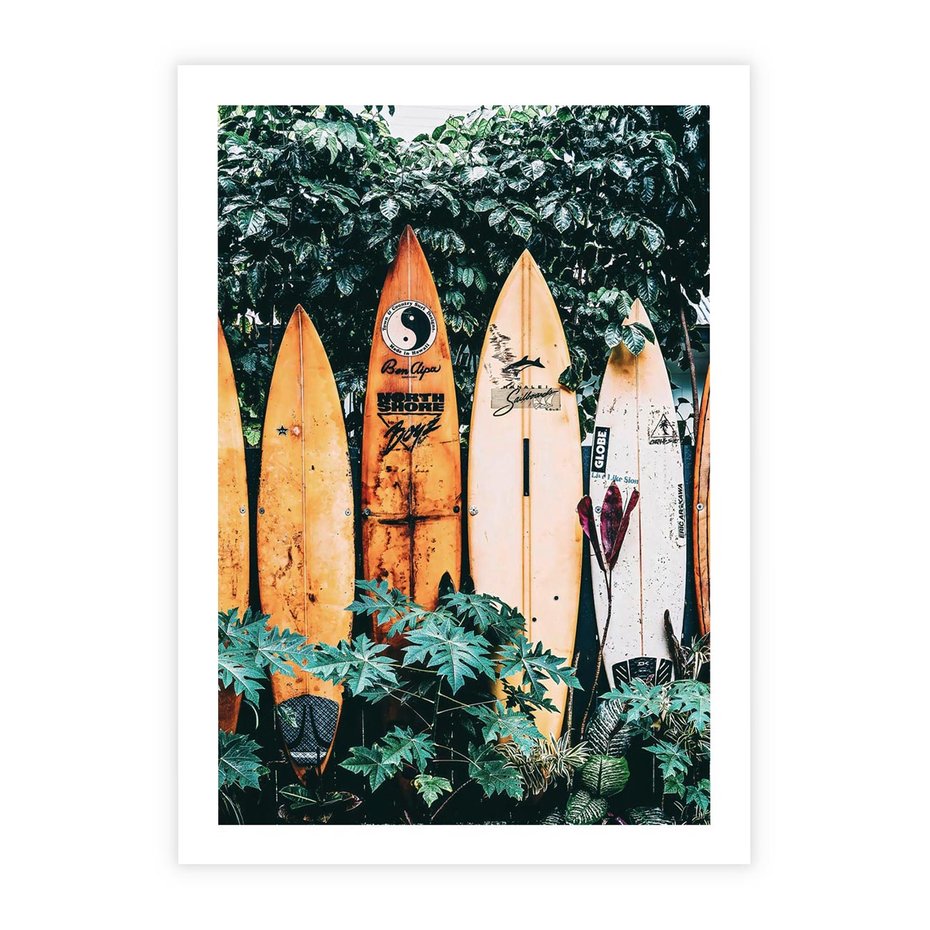 Plakat bez ramy 30x40 - Surfowanie w Harmonii z Naturą - deski surfingowe, oparte o rośliny