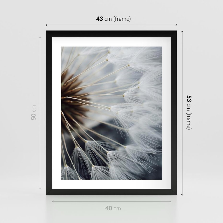 Plakat w ramie 40x50 - Dmuchawce w Naturze - dmuchawiec, zbliżenie - rama czarna