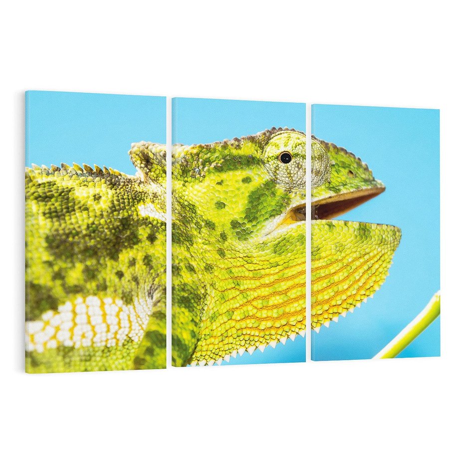 Obraz na płótnie 120x80 - Kameleon w swoim świecie - kameleon, jaszczurka