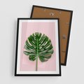 Plakat w ramie 50x70 - Monstera w Różowym Świetle - liść monstery, różowe tło - rama czarna