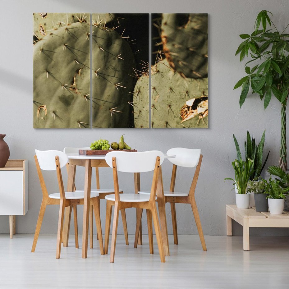 Obraz na płótnie 120x80 - Urok Egzotyki - kaktusy, boho