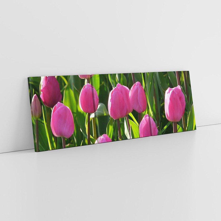 Obraz na płótnie 150x50 - Tulipanowa harmonia - tulipany, kwiaty