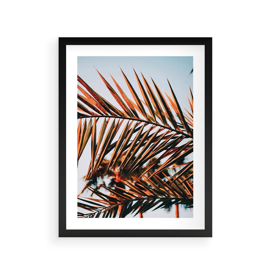 Plakat w ramie 30x40 - Tropikalna Harmonia - palma, liście palmy - rama czarna