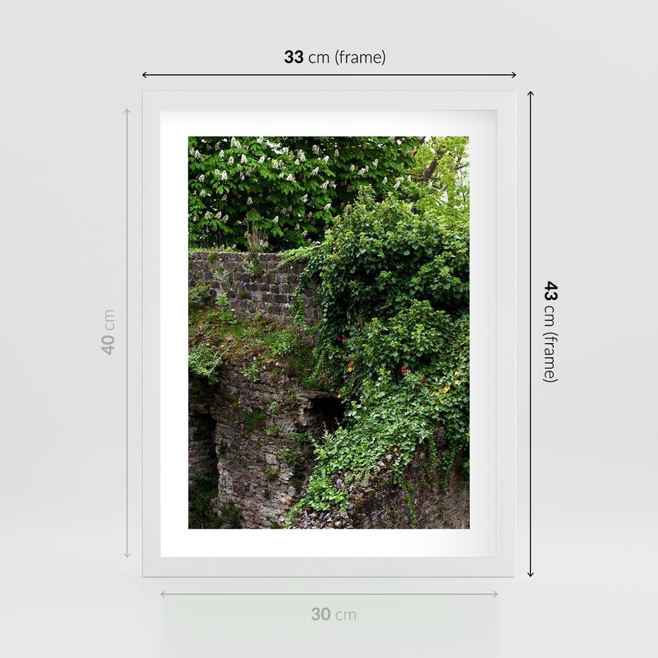 Plakat w ramie 30x40 - Żywiołowa Zieleń - mur, liście - rama biała