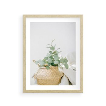 Plakat w ramie 40x50 - Eukaliptusowa Świeżość - eukaliptus, liście w koszu z wikliny - rama drewno