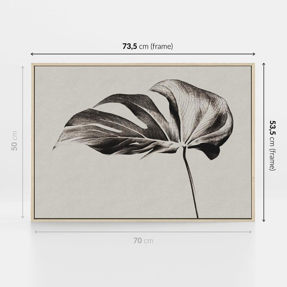 Obraz w ramie 70x50 - Szepczący Liść - szkic, czarno biały - rama drewno