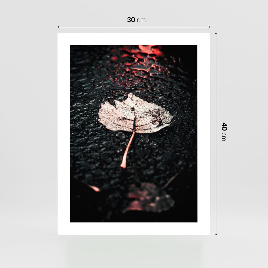 Plakat bez ramy 30x40 - Jesień w Detalu: Liść na Mokrej Drodze - liść, jesień