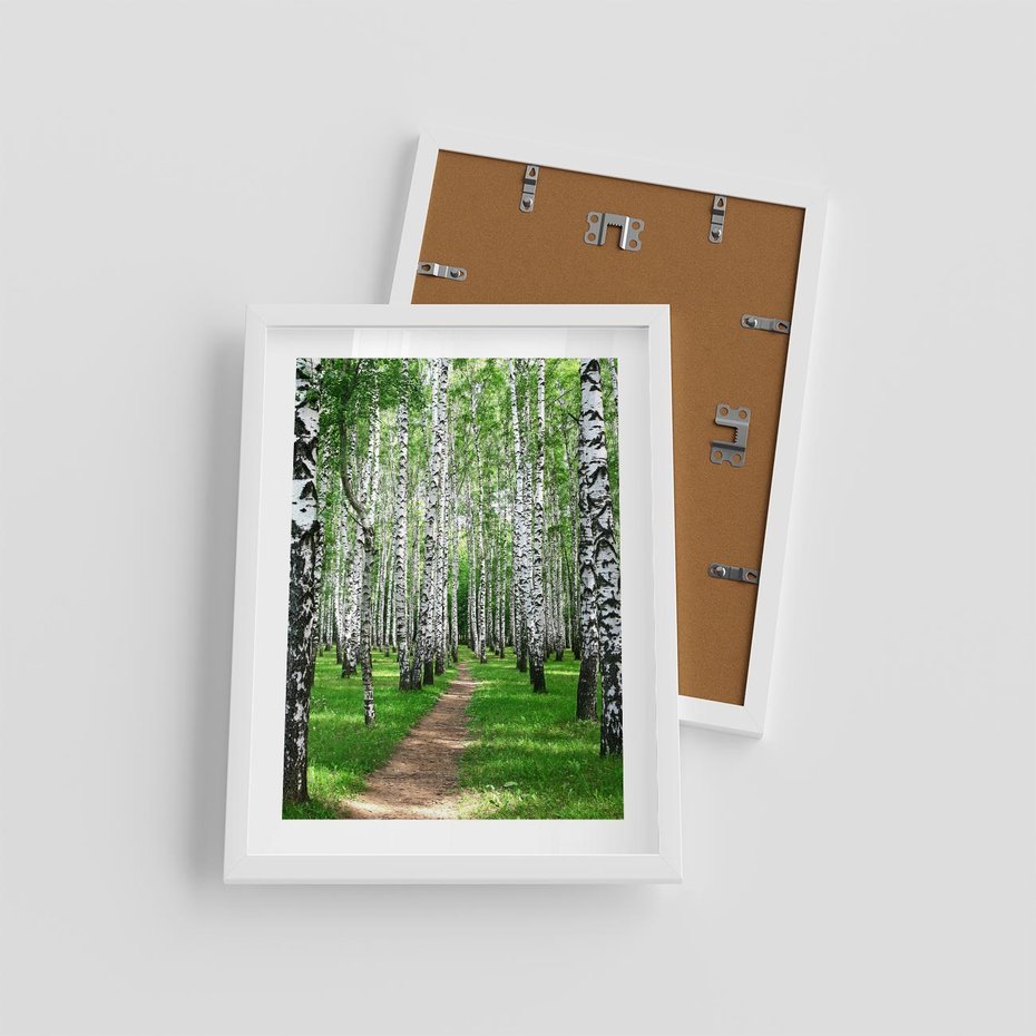 Plakat w ramie 30x40 - Bajkowy las pełen brzóz - las, brzozy - rama biała