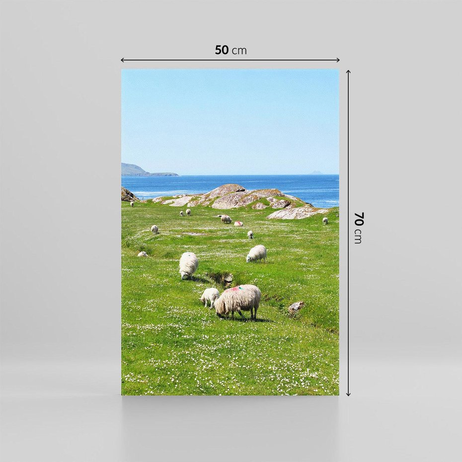 Obraz na płótnie 50x70 - Górskie Owce - góry, owce