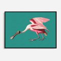 Obraz w ramie 70x50 - Różowy Ptak Wyobraźni - różowy ptak, wyobraźnia - rama czarna