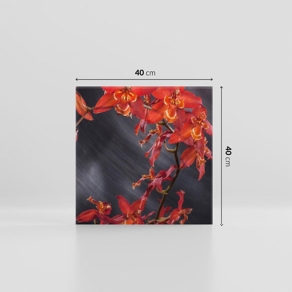 Obraz na płótnie 40x40 - Kolorowy Raj - kwiaty, tropikalne