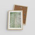 Plakat w ramie 30x40 - Jasna Zieleń Palmy - liść palmy, zbliżenie - rama drewno